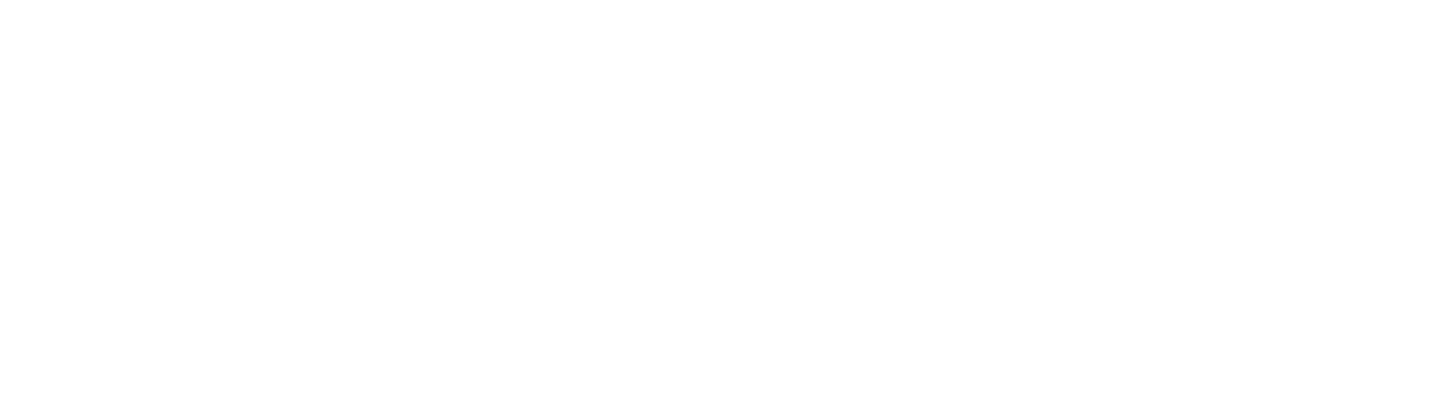 Lares_logo_Damovo_white_4_to_1